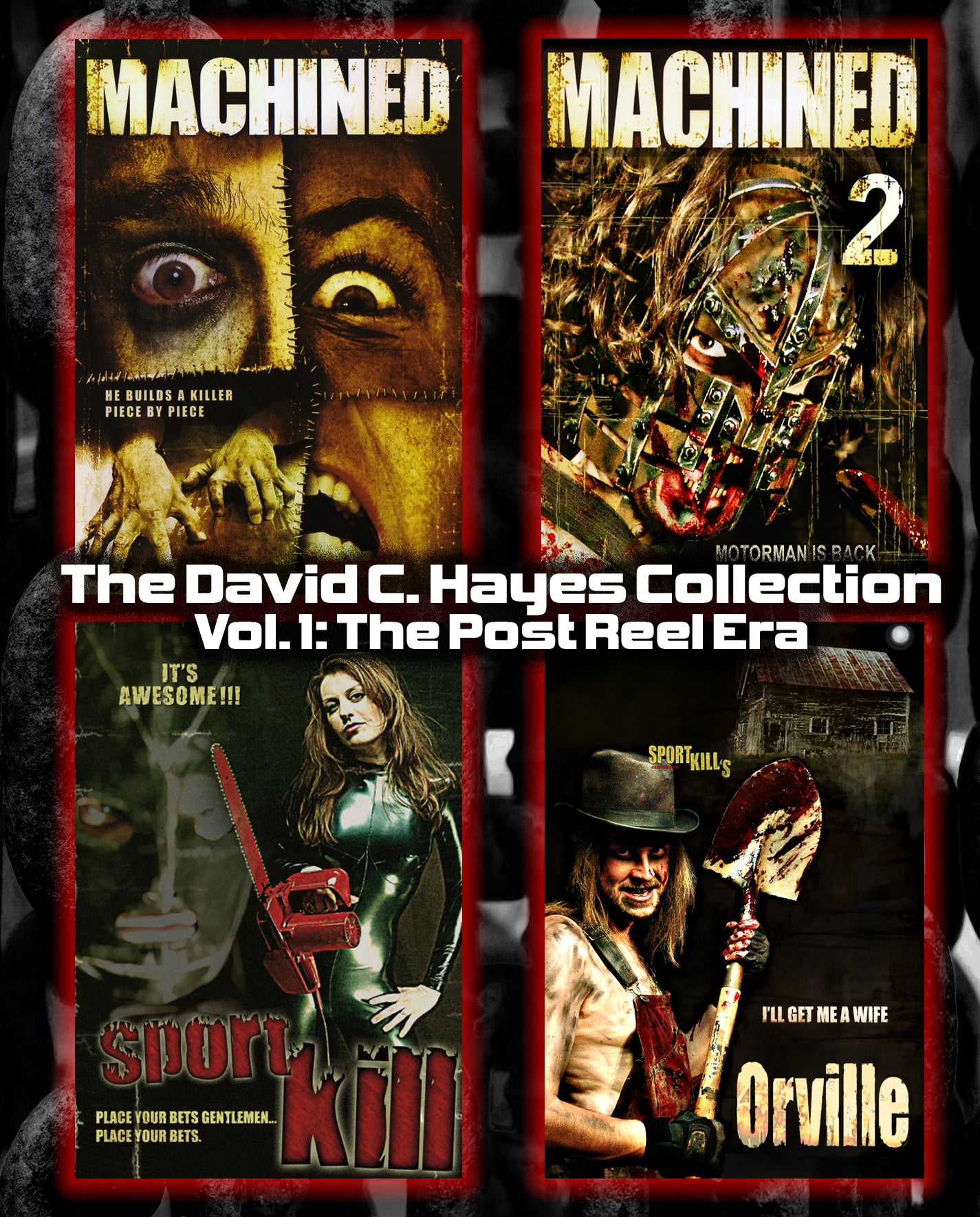 David C. Hayes Collection, Vol. 1: Post Reel Era