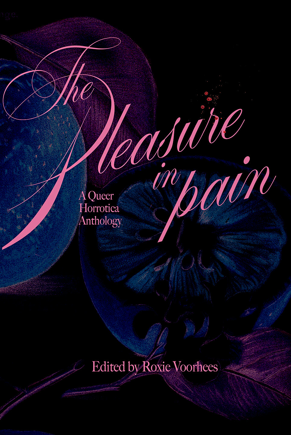 The Pleasure in Pain: A Queer Horrotica Anthology